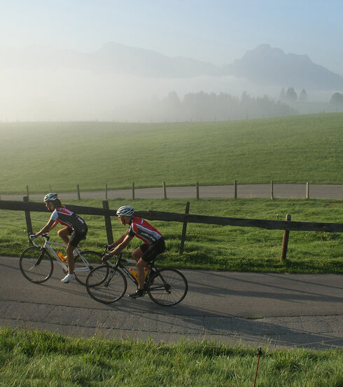 Das Bild zeigt zwei Rennradfahrer in Trikots und Radlerhosen, die einen Hügel emporfahren. Der Morgennebel lichtet sich langsam. Im Hintergrund erheben sich die Berge.  