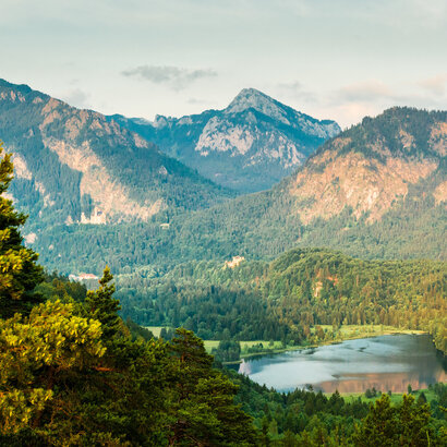 Das Bild zeigt eine weite grüne Landschaft. Im Vordergrund sind Bergwälder zu sehen, dazwischen liegend der Schwansee und die Königsschlösser auf den ersten Anhöhen. Im Hintergrund erheben sich die Gipfel von Tegelberg, Straußberg und Säuling im sanften Abendlicht.