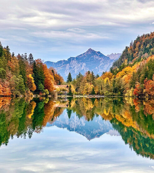 Im Fokus des Bildes liegt der Alatsee, dessen Oberfläche, glatt wie ein Spiegel, die umliegende Natur widerspiegelt. 