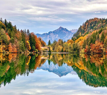 Das Bild fängt eine idyllische Herbstszene perfekt ein. Das Hauptmotiv des Bildes ist ein ruhiger See, der Alatsee, dessen Oberfläche ein Spiegelbild der umliegenden Landschaft ist. Der See liegt eingebettet in einen Wald aus Bäumen, deren Blätter eine lebendige Mischung aus orange, gelb und grünem Farben haben, typisch für die Herbstzeit. Der Wald erstreckt sich in die Ferne, erzeugt ein Gefühl von Tiefe und Weite. Im Hintergrund erheben sich majestätische Berge, deren Gipfel teilweise von einer Wolkenschicht verdeckt sind. Der Himmel über dem See ist ein klarer blauer Farbton, und er rundet das Gesamtbild der Szene ab. 