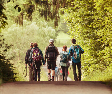 Ein Gruppe von Wanderern erkundet die Natur in der Nähe von Füssen. Die Füssen Region bietet zahlreiche Wanderwege für jeden Geschmack.