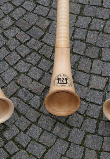 Event picture Alphorn Concert