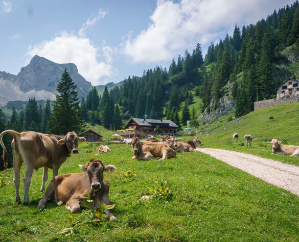 Blog Teaser Image - Füssener Hütte