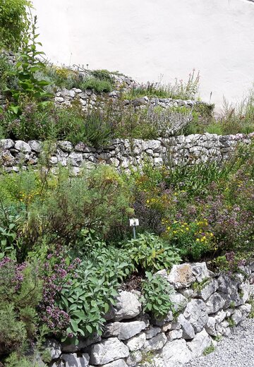 Event picture Photo competition for the terrace garden at the High Castle