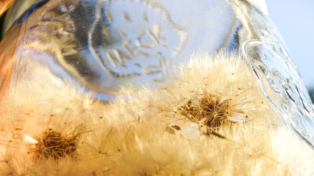 13_DSC03799